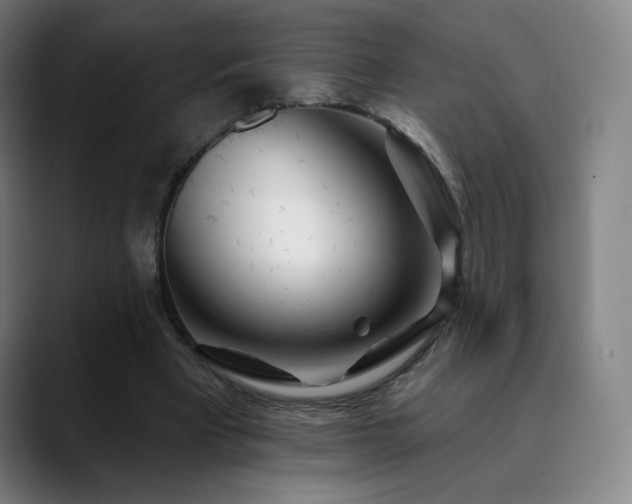 X0000090480393200707131320