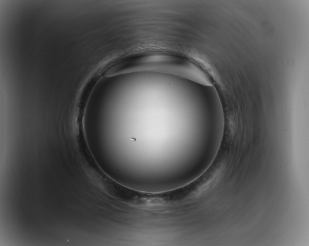 X0000090480395200707131320