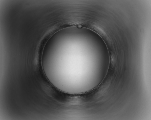 X0000090480396200707131320