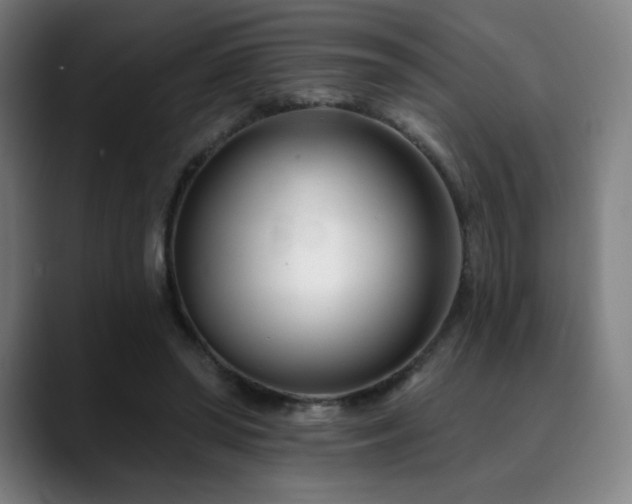 X0000090480398200707131320