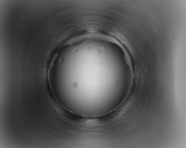 X0000090480401200707131320