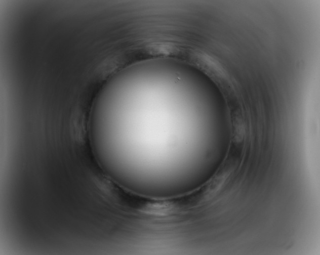 X0000090480414200707131319