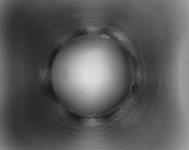 X0000090480419200707131319
