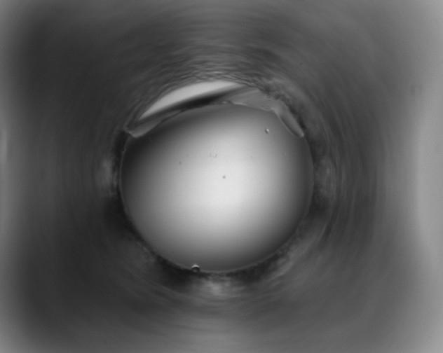 X0000090480420200707131319