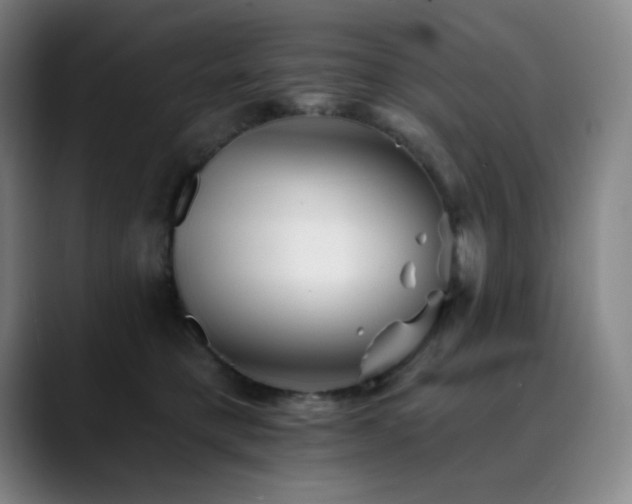 X0000090480421200707131319
