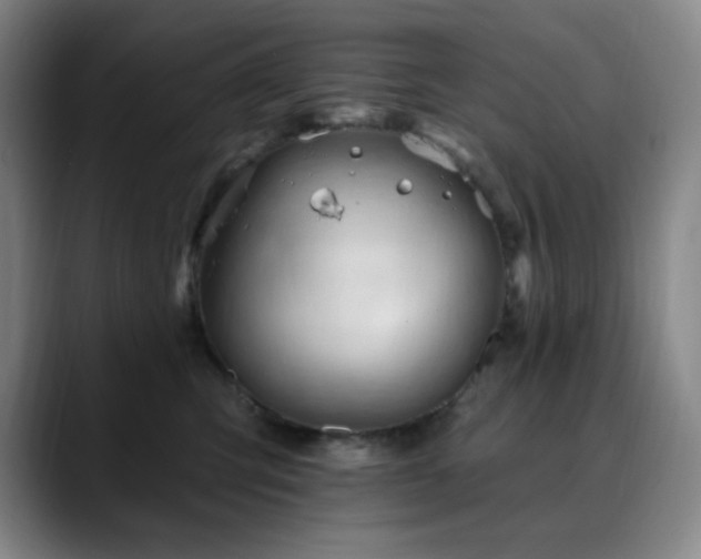 X0000090480423200707131319