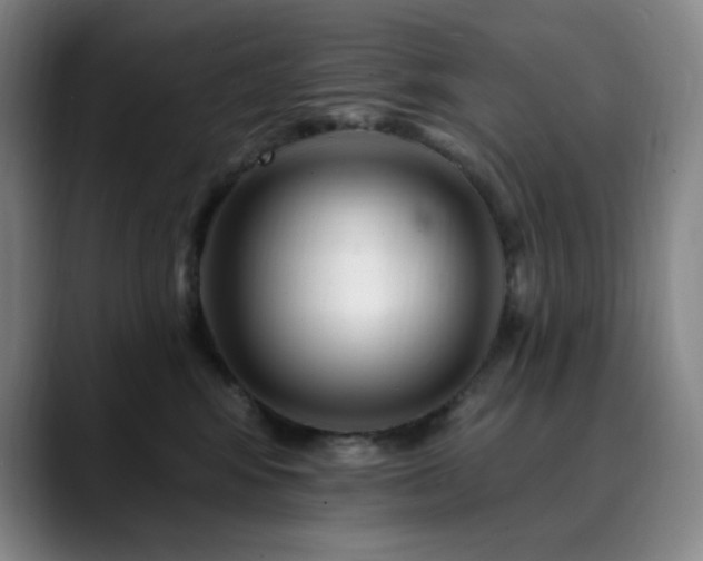 X0000090480424200707131319