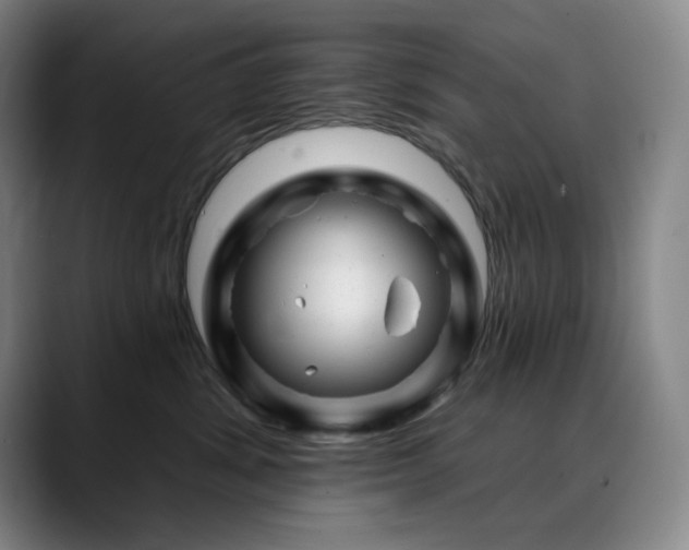 X0000090480428200707131319