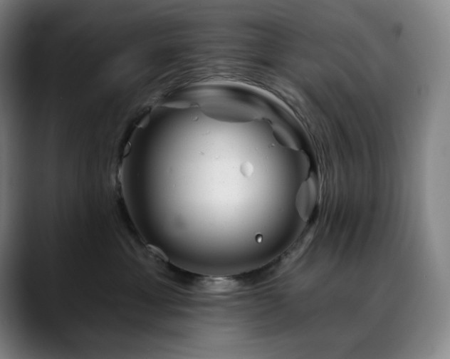 X0000090480429200707131319