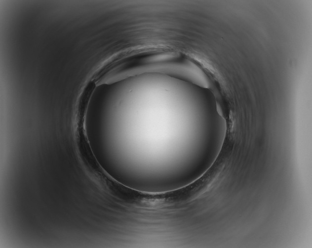 X0000090480440200707131319