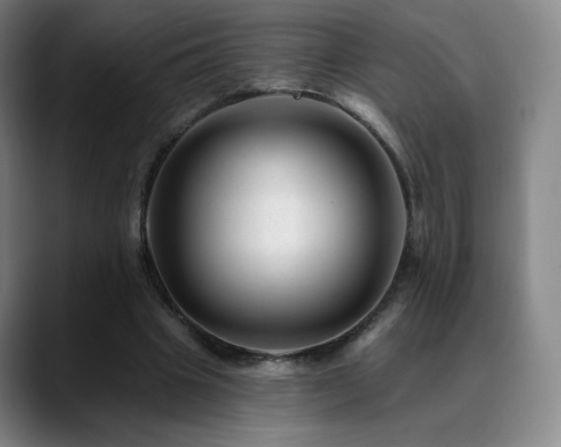 X0000090480441200707131319