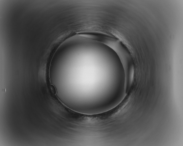 X0000090480442200707131319