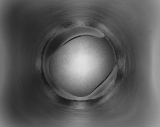 X0000090480444200707131319