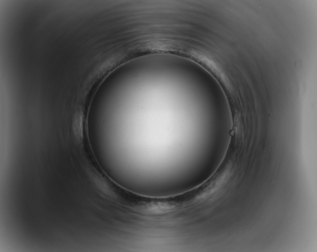 X0000090480445200707131319