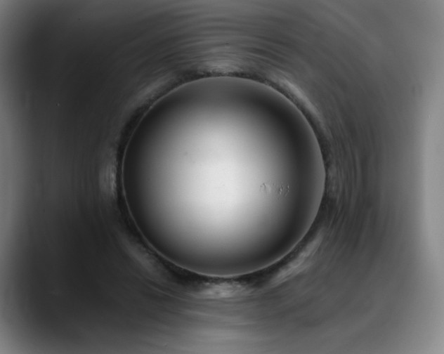 X0000090480446200707131319