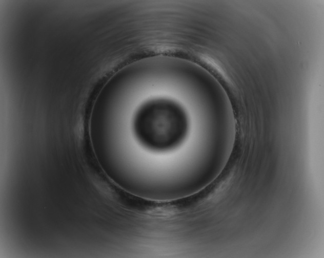 X0000090480447200707131319