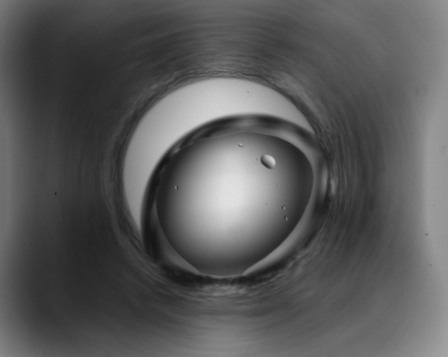 X0000090480448200707131319