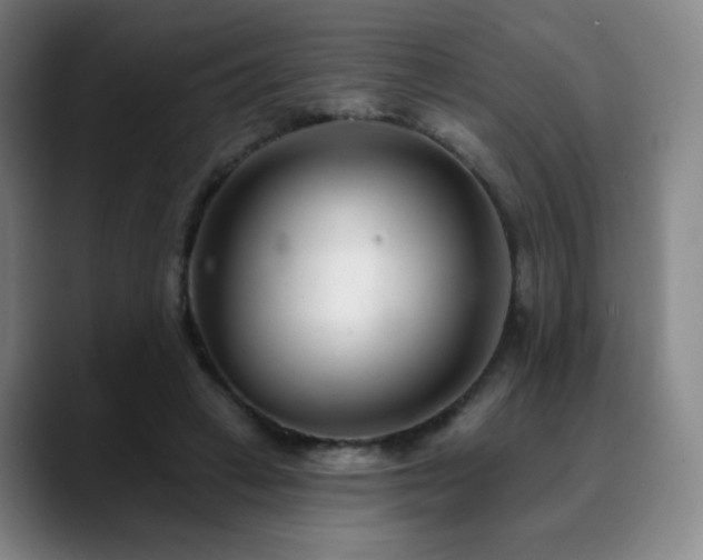 X0000090480449200707131319