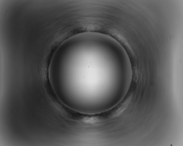 X0000090480450200707131319