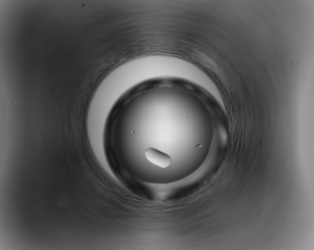 X0000090480452200707131319