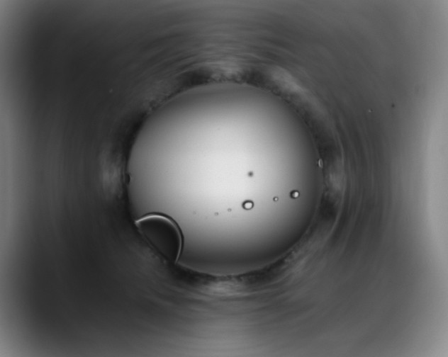 X0000090480468200707131319