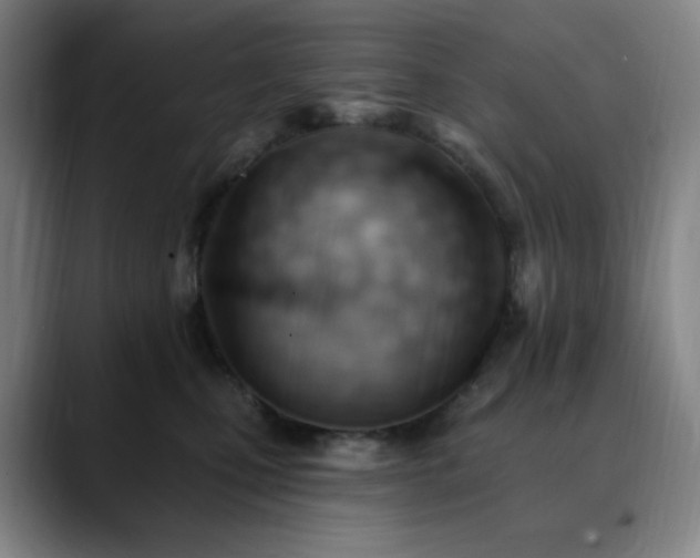 X0000090480471200707131319