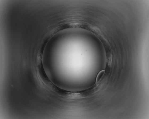 X0000090480476200707131319