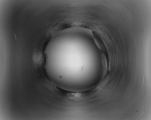 X0000090480478200707131319