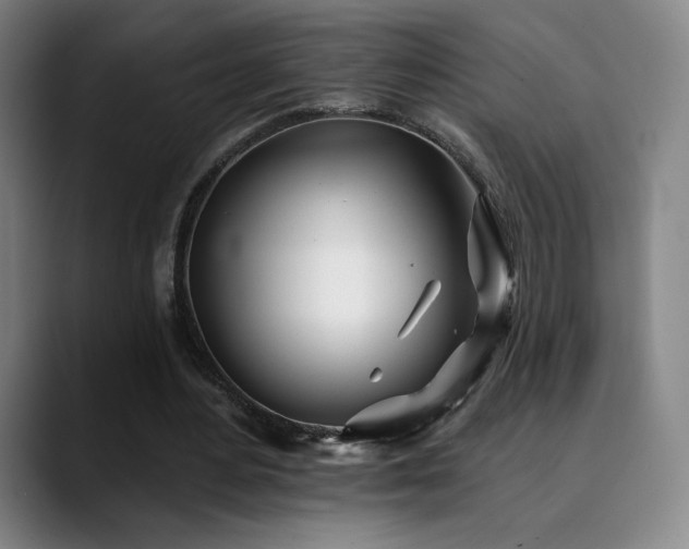 X0000090480484200707131319