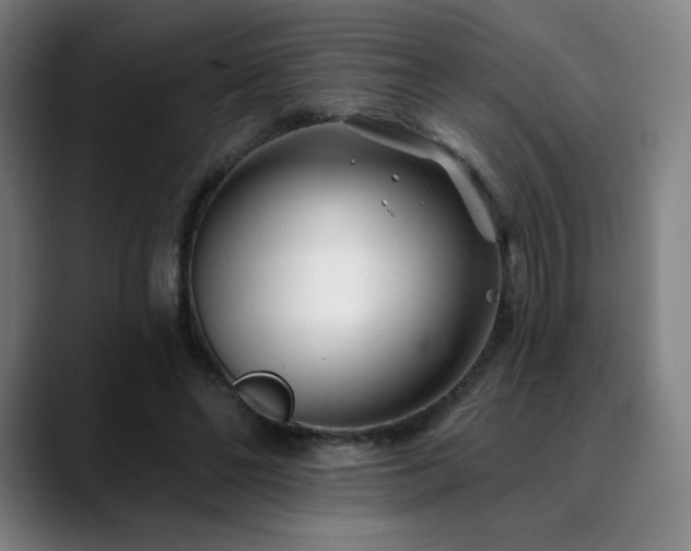 X0000090480494200707131318