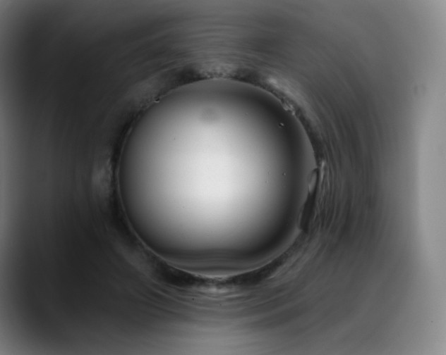 X0000090480498200707131318