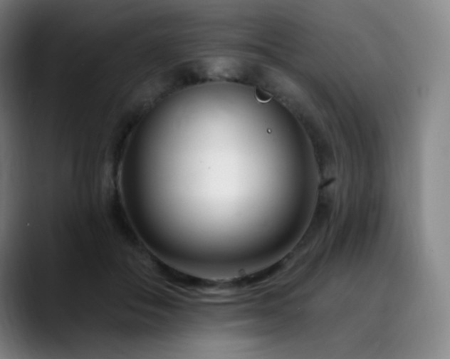 X0000090480506200707131318
