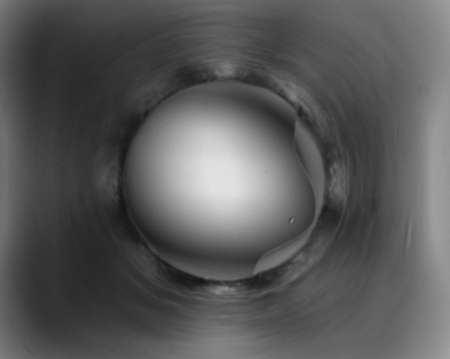 X0000090480509200707131318