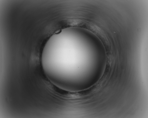 X0000090480510200707131318