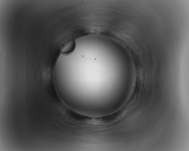 X0000090480511200707131318