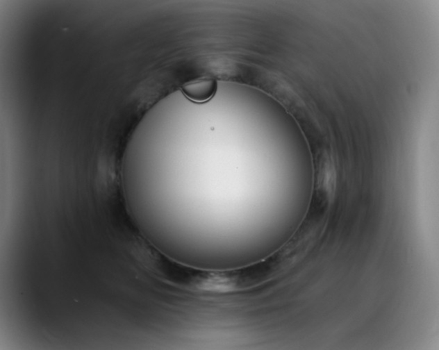 X0000090480518200707131318