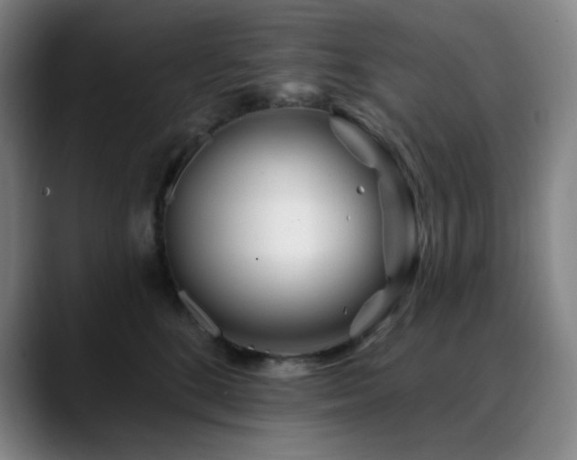 X0000090480520200707131318
