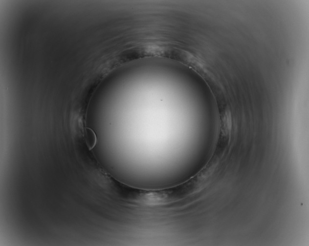 X0000090480522200707131318