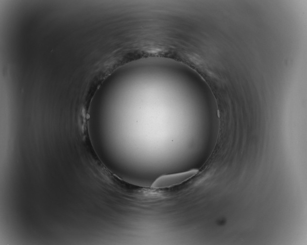 X0000090480528200707131318