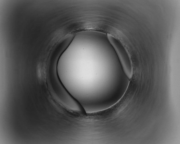 X0000090480530200707131318
