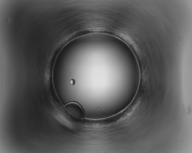 X0000090480533200707131318