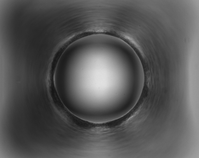 X0000090480536200707131318