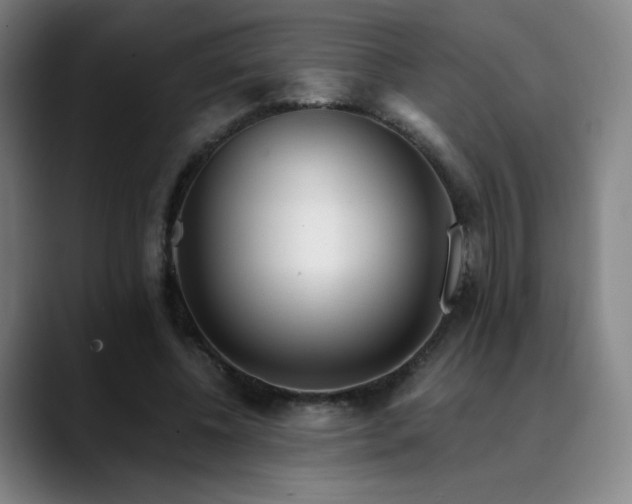 X0000090480540200707131318