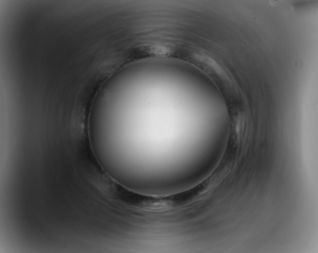 X0000090480553200707131318
