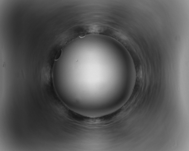 X0000090480554200707131318