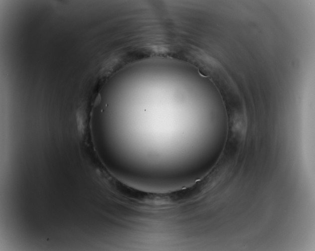 X0000090480559200707131318