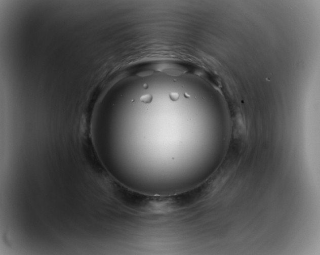 X0000090480560200707131318