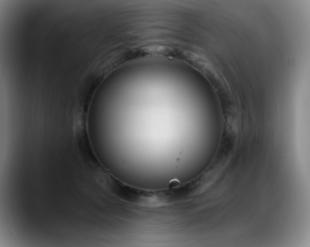 X0000090480561200707131318