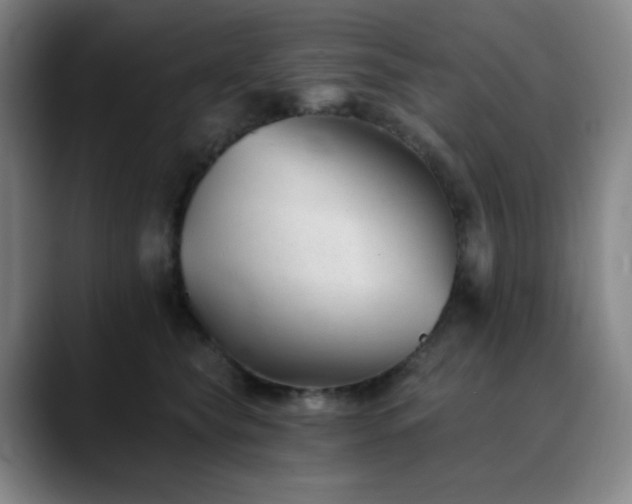 X0000090480565200707131318