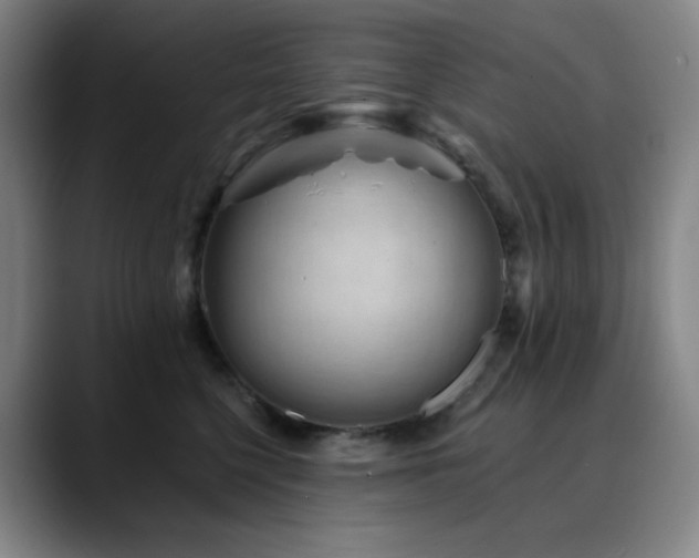 X0000090480568200707131318